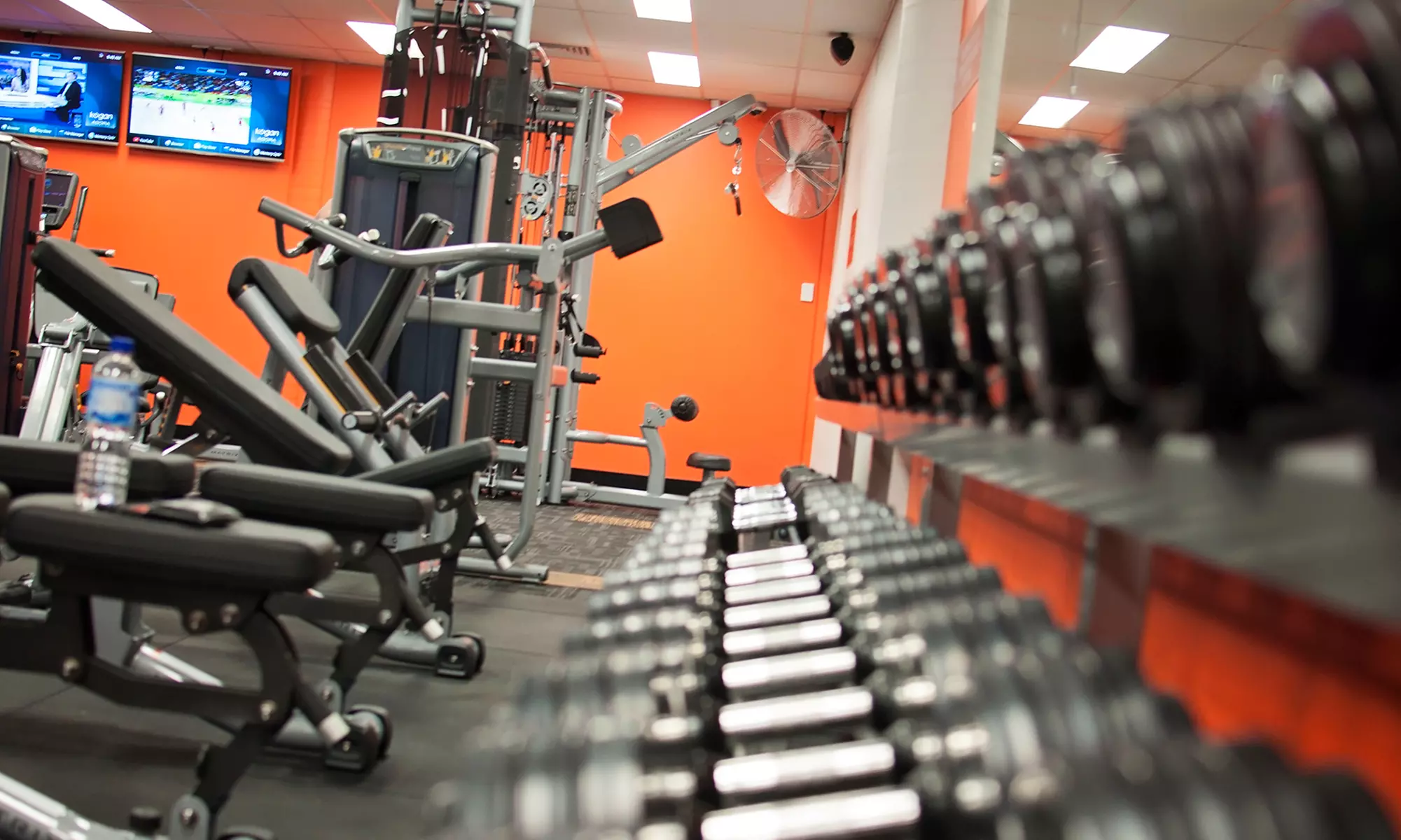 2-Week Group Training + Gym Access