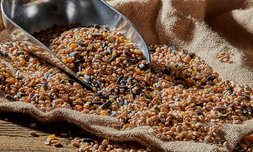 Image 11: Happy Beaks Bird Seed Selection