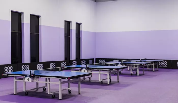 Ping Pong for Everyone: Classes Tailored to Your Style!