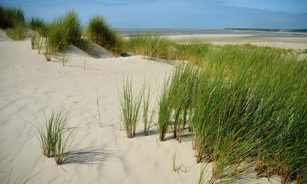 Côte d'Opale: 1 à 4 nuits en appartement 2/3 ou 4/6 personnes à la Marine d’Opale Ambleteuse - Primary Image