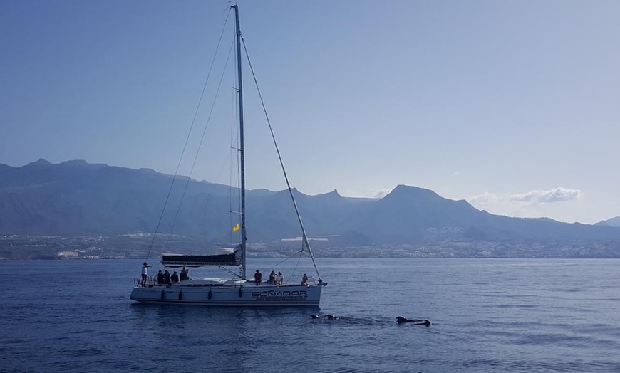 Image 1: Excursión en velero de 2 horas