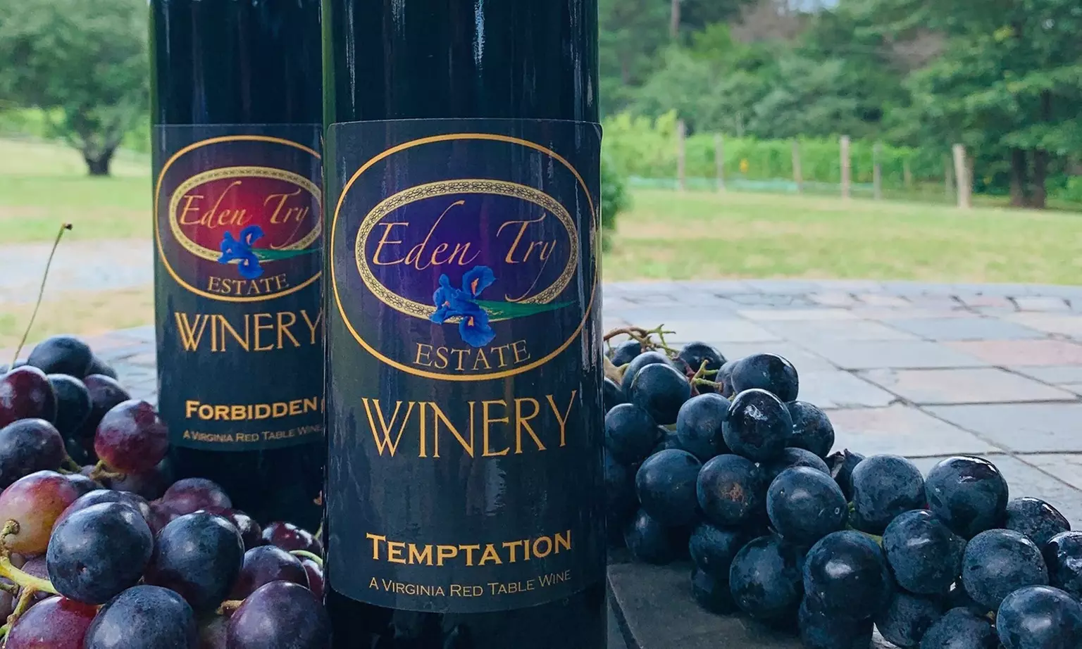 Eight-Sample Wine Tasting at Eden Try Winery (Upto 33% Off) - Second Medium