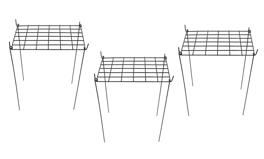 Image 4: Rectangle Grow Through Grid Support for Plants