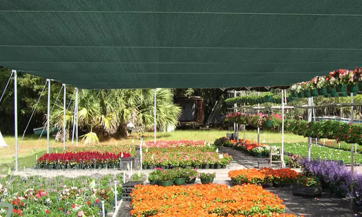 Rotolo Rete Ombreggiante disponibile in varie misure