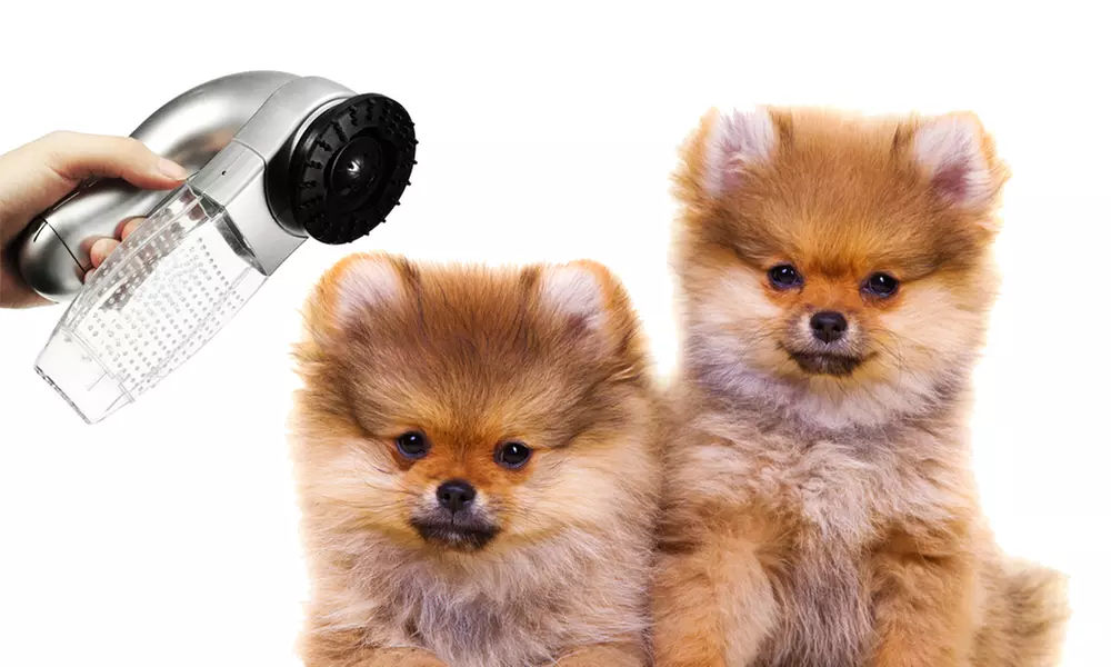 Elektrische stofzuiger dierenharen