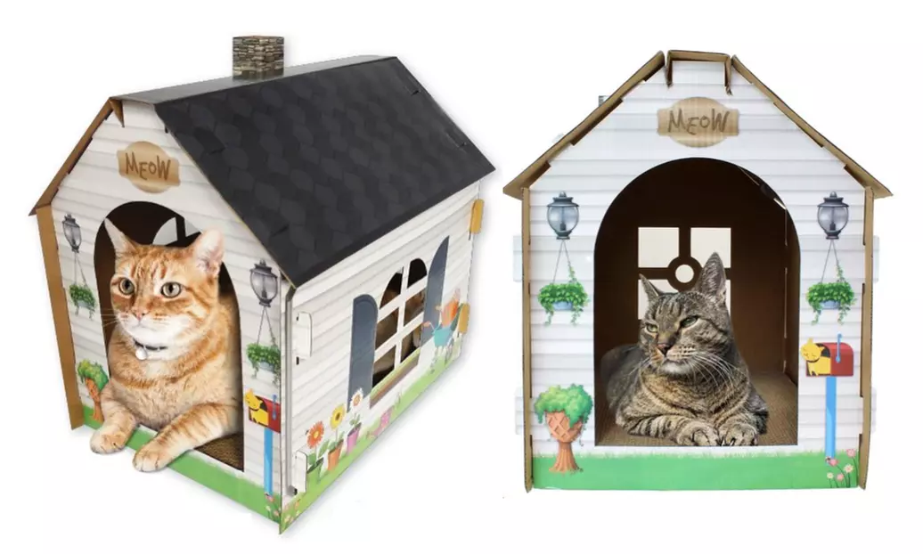 ASPCA Scratch and Play Cat House with Bonus Catnip - Primary Image