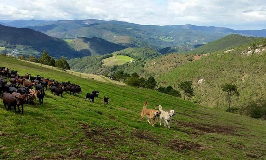 Image 8: Asturias: 1 noche con desayuno y actividades de agroturismo