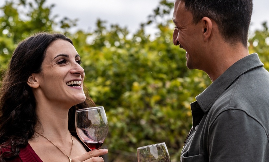 Image 13: Menú de comida con visita a bodega y cata de vinos para 1 o 2 personas