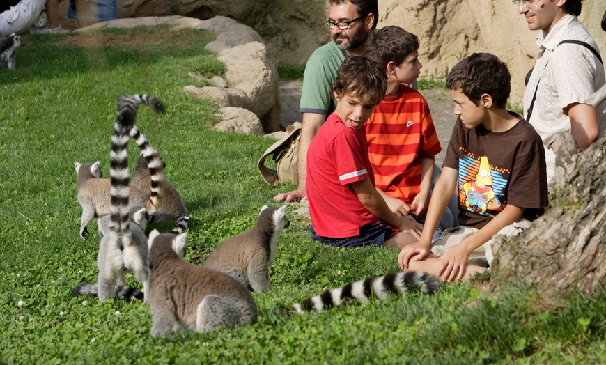 Image 5: ¡Descubre la selva en la ciudad en Bioparc Valencia!