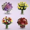Image 1: Valentine's Same Day Long-Stem Roses Deal from Blooms Today with Vase & Standard Delivery (Up to 67% Off) 