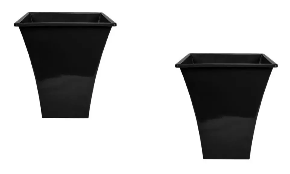 One or Two Buddleia Tricolour Butterfly Bushes or Bushes with Large Flared Planters - Image 4