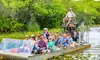 Everglades Airboat Tour for 1, 2, or 4: Airboat Ride, Wildlife Show, Alligators & More (Up To 13% Off)