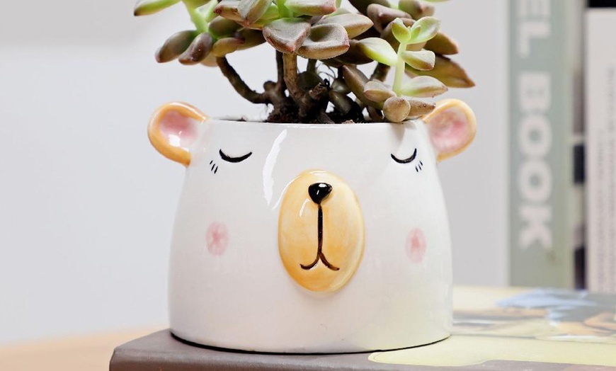 Image 4: Animal-themed Planter Pots