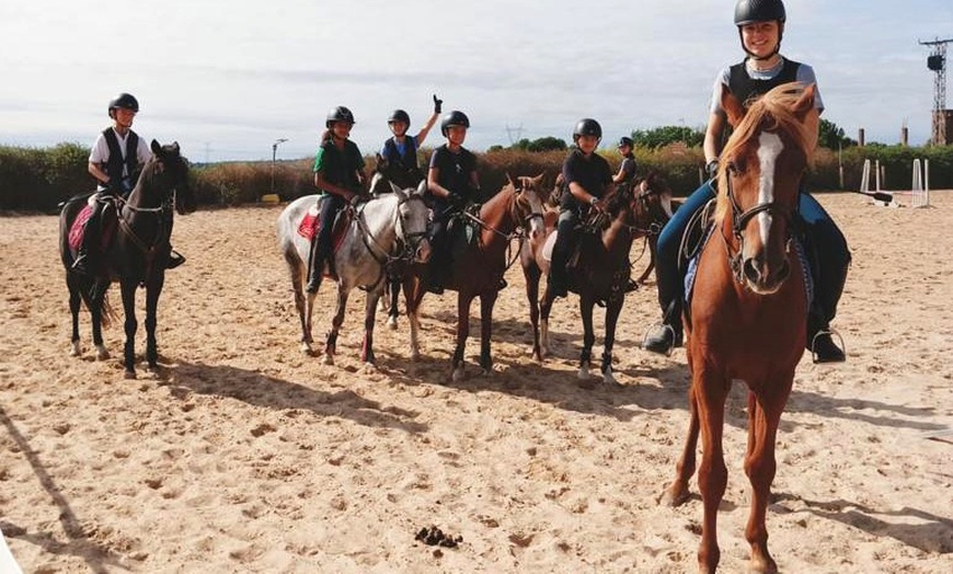 Image 2: ✦ 3 o 5 clases de hípica en La Finca Pony Club