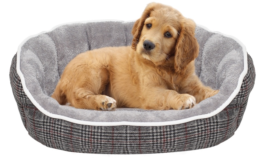 Image 2: Lit/Matelas pour chien