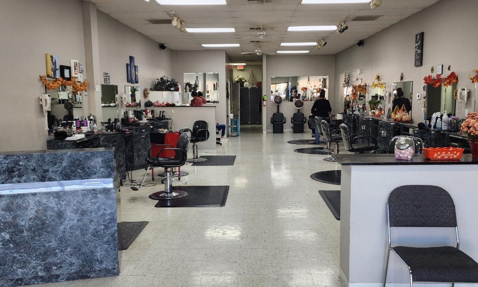 Haircut Conditioning Blow Dry and Color Options for a Fresh New Look