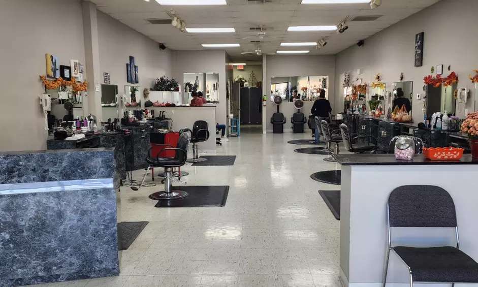 Haircut Conditioning Blow Dry and Color Options for a Fresh New Look