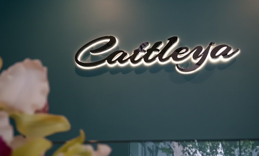 Image 6: Unwind with One 60 or 90 Minute Hot Stone or Coconut Oil Massage 