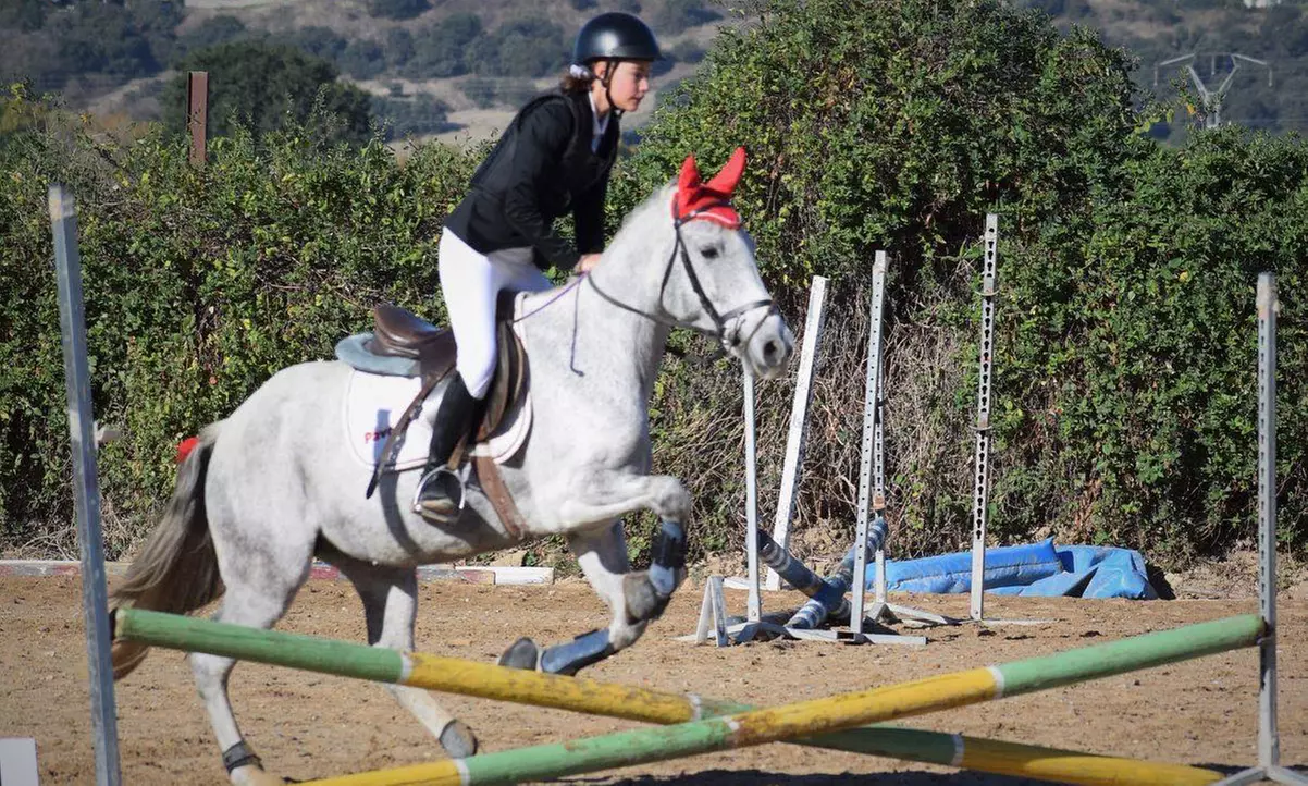 Clases sueltas o mes de equitación para 1 o 2 personas en Escuela Hípica Sibaris con hasta un 57% de descuento - Second Medium