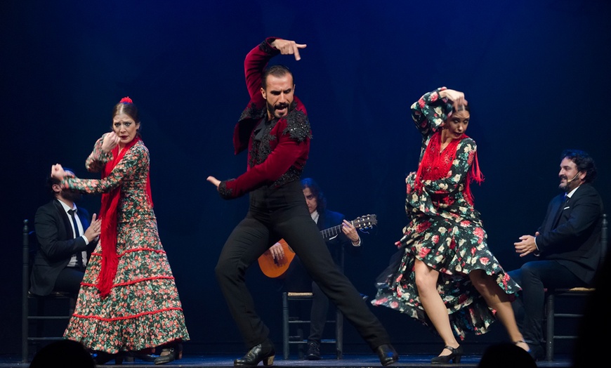 Image 2: Entradas para el espectáculo "Esencia" en el Teatro Flamenco de Málaga