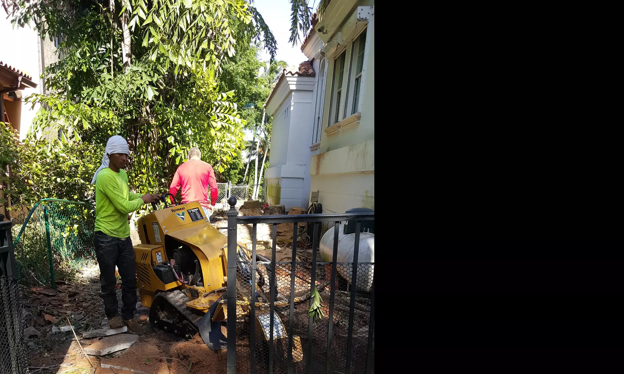 $1 for $2 Worth of Services — Coco tree service - Primary Image