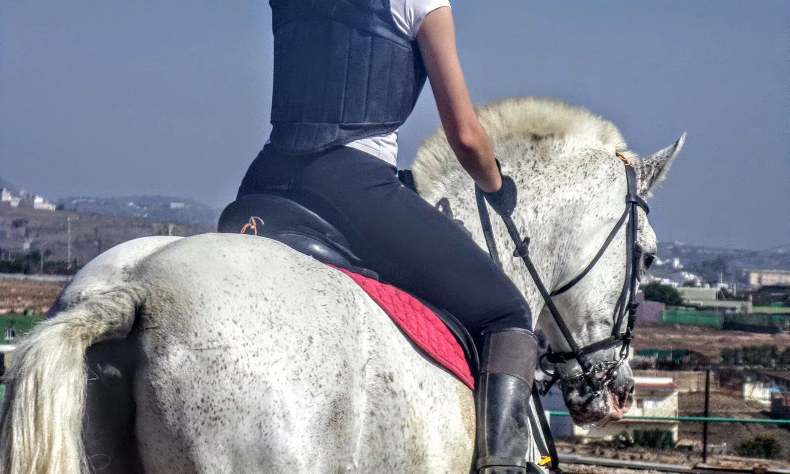 Clases de equitación