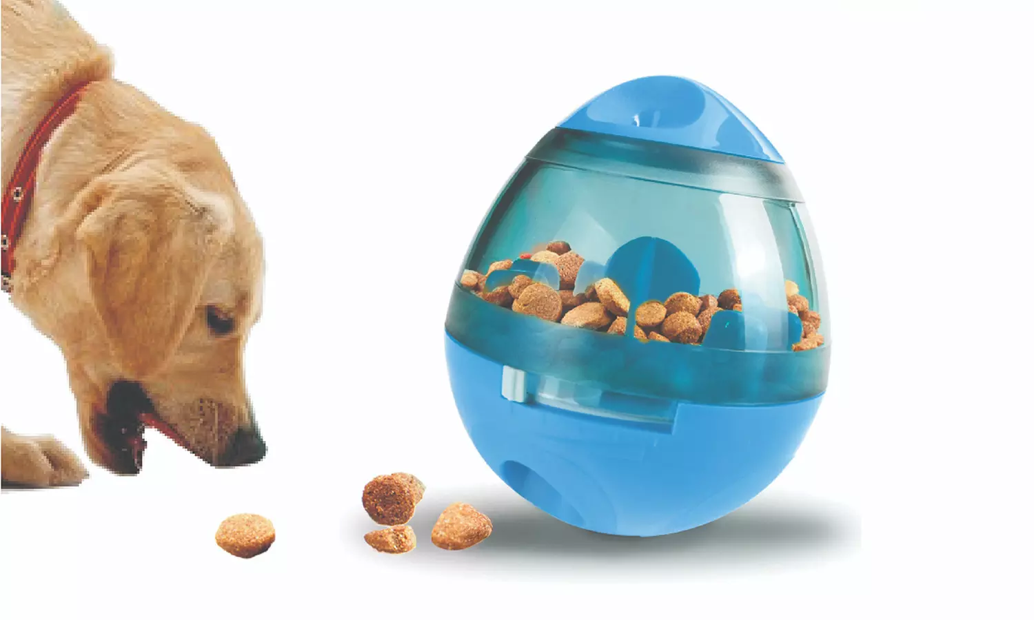 Tailtoys Dog Feeder Tumbler Ball Increases IQ  Toy