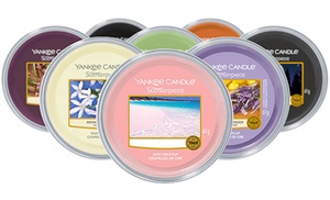 Six-Pack of Mixed Yankee Candle Scenterpiece Meltcups