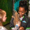 Image 2: Up to 6% Off Interactive Aquarium Admission at Blue Zoo
