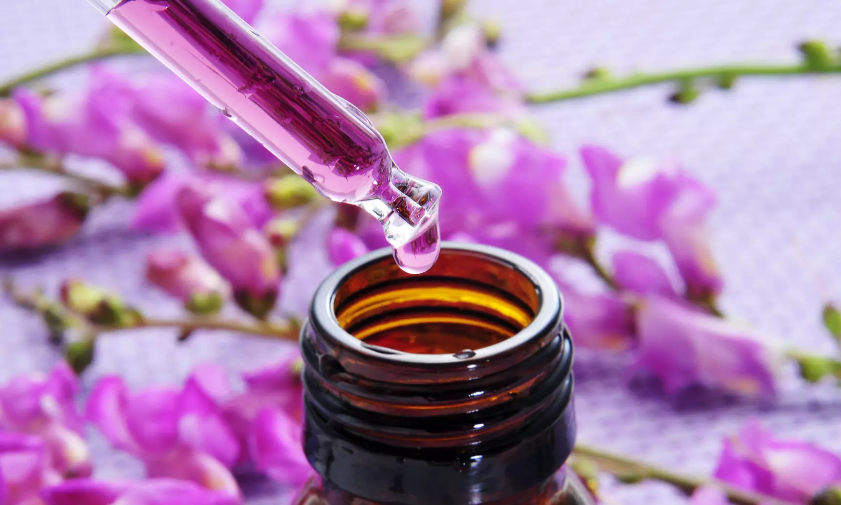 Formation en ligne pour devenir conseiller en Fleurs de Bach avec Meformer - Primary Image