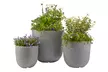 3 pots de fleurs de dimensions différentes, livraison offerte - Second Medium