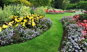 Garden Design Online Course