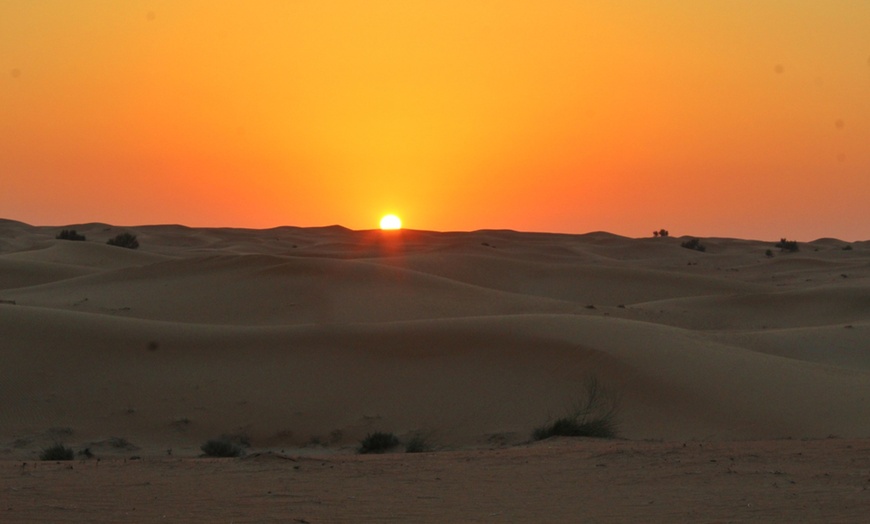 Image 3: Quad Biking and Dune Bashing