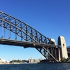 Image 4: Catamaran Cruise with Iconic Sydney Harbour Views