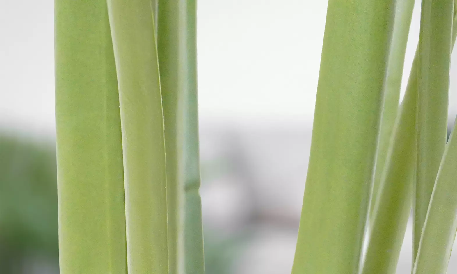 Collezione di piante finte da interno