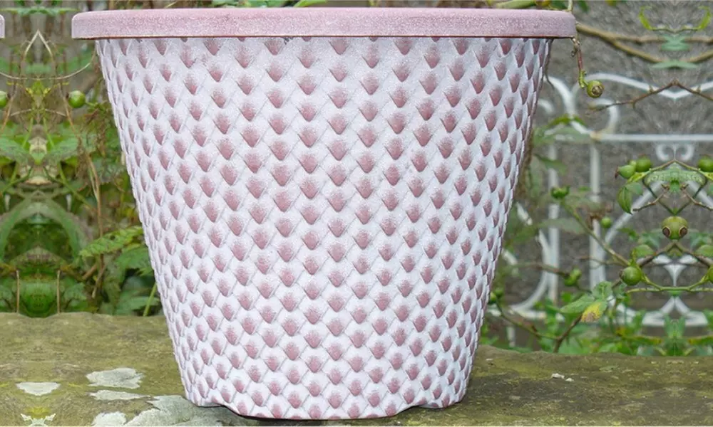 XL Marguerite Daisy Tree from £14.99 With Free Delivery (Up to 58% Off) - Image 2