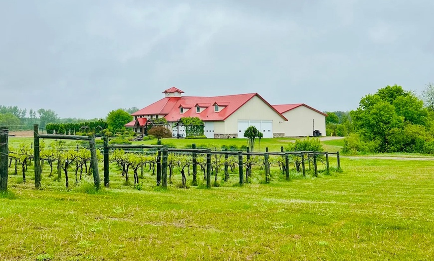 Image 4: Wine Flights, Hungarian Pizza, & Souvenir Wine Glasses for Two or Four