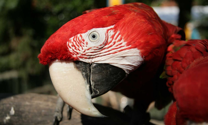 Image 8: Ga op bezoek bij deze bizarre beestenboel in Dierenpark De Oliemeulen
