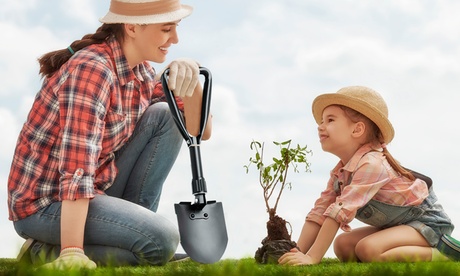 1 o 2 pale pieghevoli in acciaio al carbonio