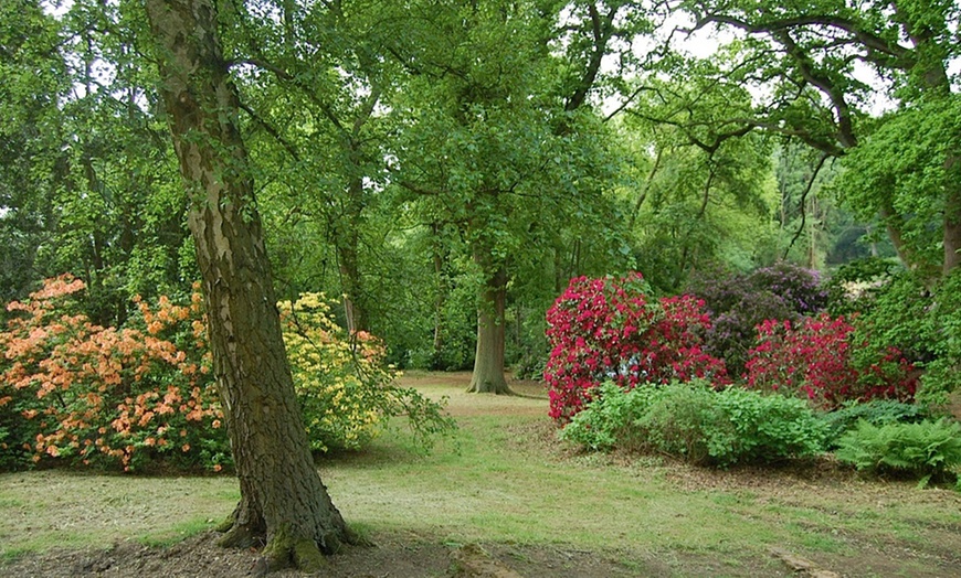 Image 10: Belvoir Castle Gardens Entry