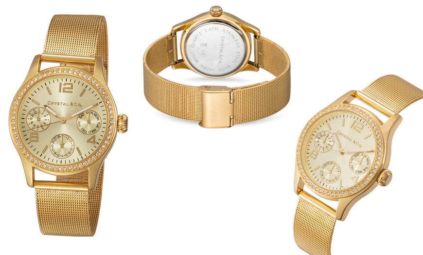 Image 15: Women's Swarovski® Watches