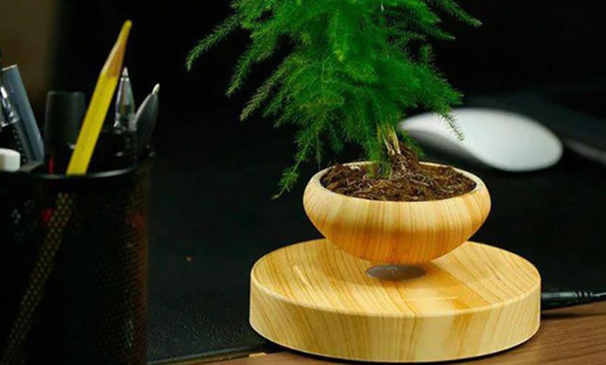 Image 5: Magnetic Floating Plant Pot