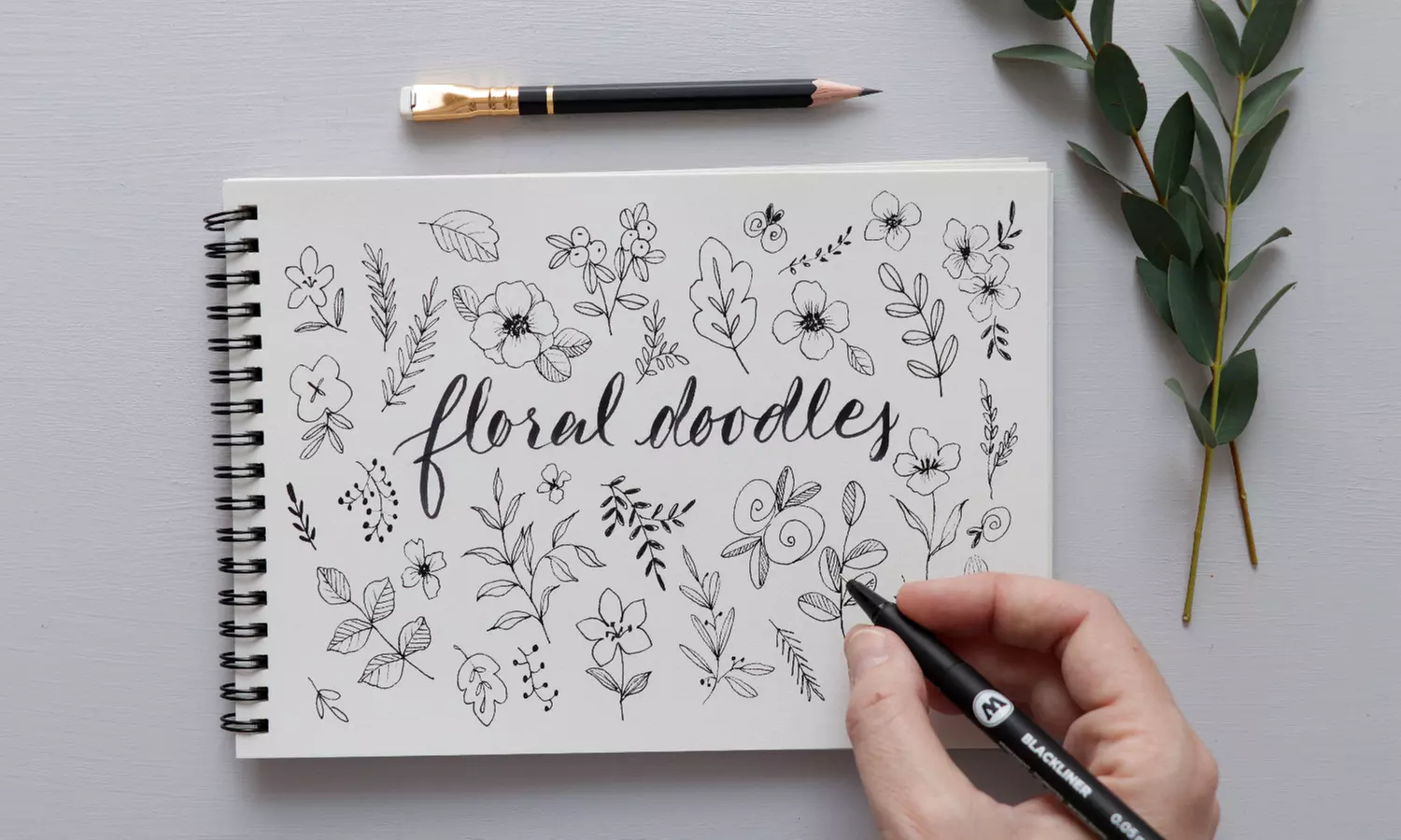 Discover the Joy of Drawing & Illustration with Beginner Courses