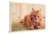 Custom Wood Prints by Photo Gifts (Up to 78% Off) - Image 4