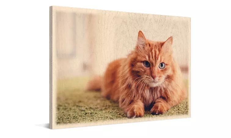 Custom Wood Prints by Photo Gifts