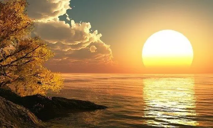 Jusqu'à 38% de remise sur Interprétation cartes de tarot chez Caroline Médium - Primary Image