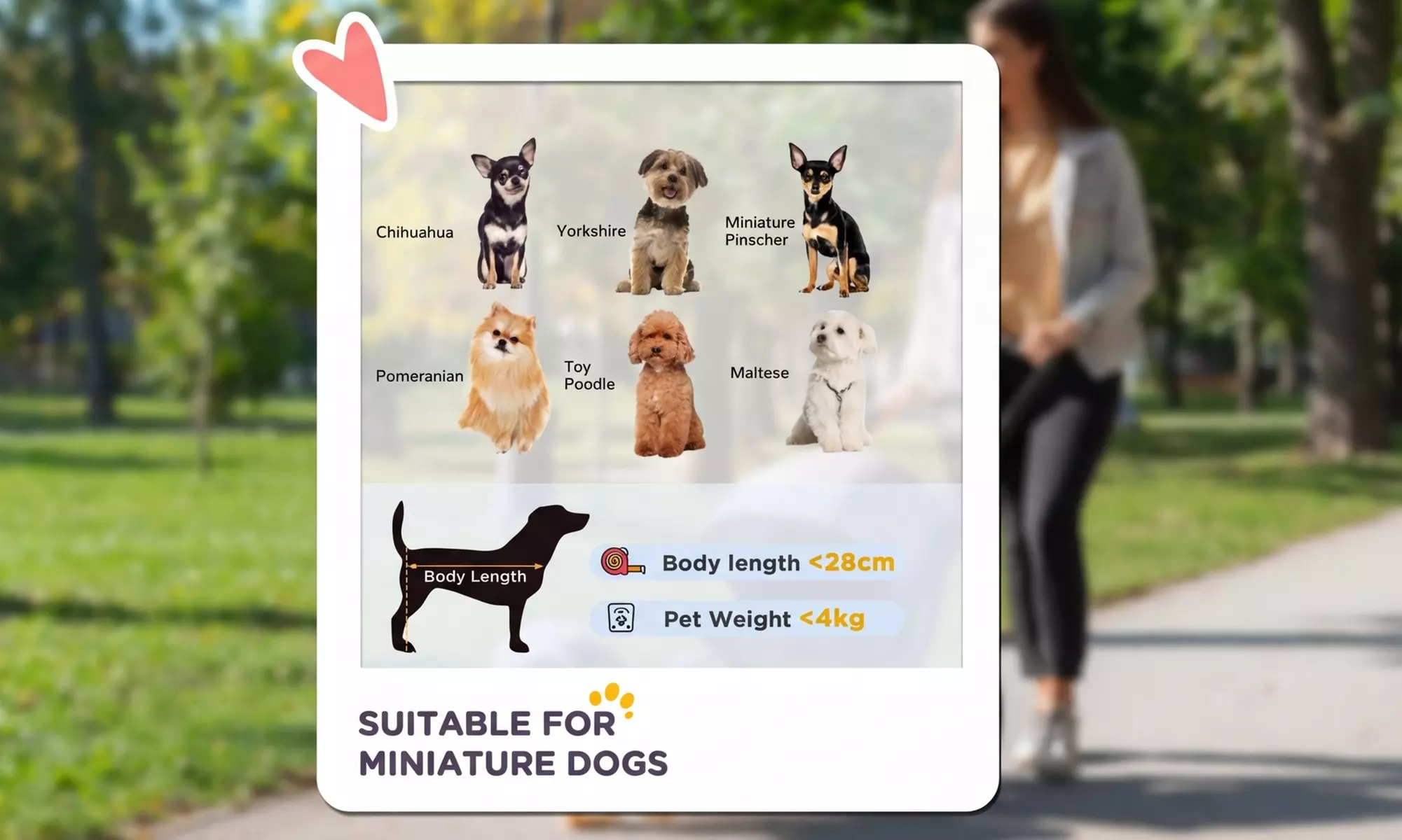 PawHut Foldable Pet Stroller with Canopy