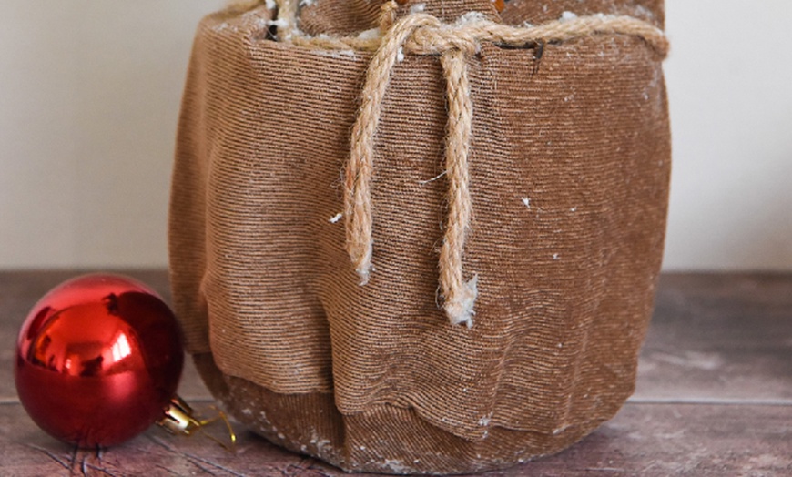 Image 5: One or Two Indoor Christmas Trees in Velvet Bags