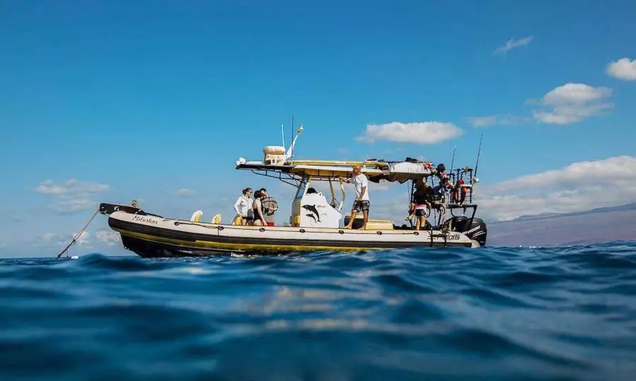 2.5 Hour Whale Watch and Snorkel Tour for Two, Three, or Four from Adventure X Boat Tours (Up to 17% Off) - Second Medium