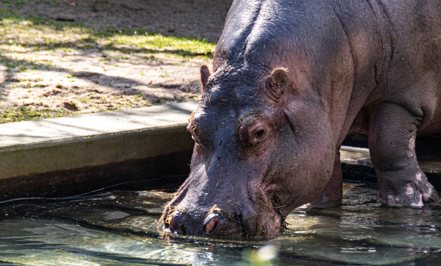 Image 8: KinderWorkshop - Fotografieren im Zoo